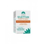 Jaldes silettum fortifiant rsistance et brillance 60 comprims - pot 60 comprims