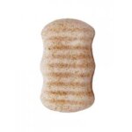 Lady green ponge konjac corps 2en1 eclats de noix - sachet 1 eponge
