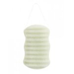 Lady green ponge konjac corps aloe vera - sachet 1 ponge