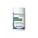 Nutergia ergyphilus confort 60 g�lules - pot 60 g�lules