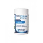 Nutergia ergyphilus d�fense 60 g�lules - pot 60 g�lules