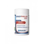 Nutergia ergyphilus gst 60 g�lules - pot 60 g�lules
