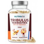 Nutri&co; tribulus terrestris 120 gélules - pot 120 gélules de 0, 44 g Nutri&co; tribulus terrestris 120 gélules - pot 120 gélules de 0, 44 g