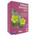 Orthonat tribulus terrestris max fertilité for men 60 gélules - boîte 60 gélules Orthonat tribulus terrestris max fertilité for men 60 gélules - boîte 60 gélules