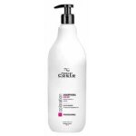 Pascal coste shampooing professionnel color 1l Pascal coste shampooing professionnel color 1l