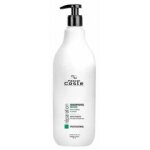 Pascal coste shampooing professionnel repair 1l Pascal coste shampooing professionnel repair 1l