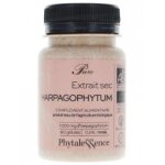 Phytalessence pure harpagophytum bio 60 gélules - pot 60 gélules Phytalessence pure harpagophytum bio 60 gélules - pot 60 gélules