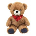 Plic care peluche chaud / froid ourson - carton 1 bouillotte