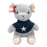Plic care peluche chaud / froid souris - carton 1 bouillotte
