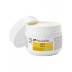 Pranarm nature beurre de karit bio 100 ml - pot 100 ml