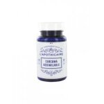 Les prparations de l'apothicaire curcuma assimilable 40 glules - flacon 40 glules