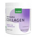 Purasana feel beautiful collag�ne poudre saveur m�re 240 g - pot 240 g