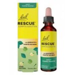 Rescue bach compte - gouttes goût pomme menthe 20 ml - flacon compte goutte 20 ml Rescue bach compte - gouttes goût pomme menthe 20 ml - flacon compte goutte 20 ml