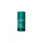 Respire dodorant stick menthe eucalyptus format carton bio 50 g - stick 50 g