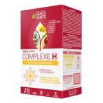 Sant verte circulymphe complexe h 20 sticks - bote 20 sticks