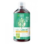 Sant verte nectaloe aloe vera 99, 5% en gel liquide bio 1 l - bouteille 1000 ml