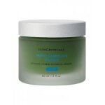 Skinceuticals correct phyto corrective masque 60 ml - pot 60 ml