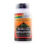 Solaray boswellia & harpagophytum 60 capsules végétales - boîte 60 capsules Solaray boswellia & harpagophytum 60 capsules végétales - boîte 60 capsules