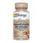 Solaray champignon du soleil ferment 500 mg 60 capsules vgtales - bote 60 capsules vgtales
