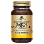 Solgar baies de saw palmetto 100 glules vgtales - flacon 100 glules
