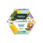 Vitaflor bioimmunité gelée royale bio 700 mg junior 14 unicadoses - boîte 14 unicadoses de 10 ml Vitaflor bioimmunité gelée royale bio 700 mg junior 14 unicadoses - boîte 14 unicadoses de 10 ml