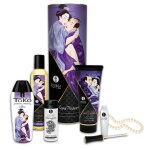 Coffret collection plaisirs charnels 5 produits shunga + un collier de perles Coffret collection plaisirs charnels 5 produits shunga + un collier de perles