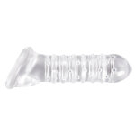 Etui pnien ribbed renegade transparent 16 x 4 cm