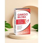 Labophyto ginkgo biloba 60 glules