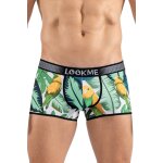 Look me boxer imprim oiseau chanteur, bird singer imprim oiseau