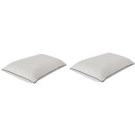 Lot de 2 oreillers softmemory effet mémoire de forme someo 40x60 Lot de 2 oreillers softmemory effet mémoire de forme someo 40x60