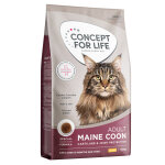 10kg maine coon adult concept for life croquettes pour chat