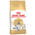 2x10kg norvgien royal canin croquettes pour chat norwegian forest cat