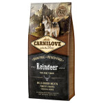 2x12kg adult renne carnilove - croquettes pour chien 2x12kg adult renne carnilove - croquettes pour chien
