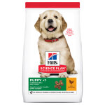 16kg puppy 16kg puppy