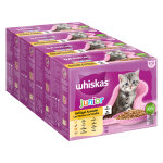 Mégapack whiskas junior 48 x 85 g pour chaton - sélection de volaille en gelée Mégapack whiskas junior 48 x 85 g pour chaton - sélection de volaille en gelée