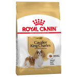 3kg adult cavalier king charles royal canin breed - croquettes pour chien
