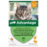 4 pipettes ad - vantage 40 pour chat de moins de 4 kg