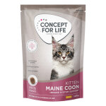 400g concept for life maine coon kitten - croquettes pour chaton