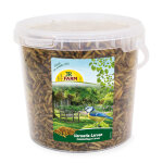 400g jr farm hermetia / larves de mouches soldats seau de nourriture pour oiseaux