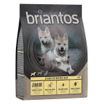 Testez - les ! croquettes briantos 1 kg pour chien - junior poulet, pommes de terre - sans céréales Testez - les ! croquettes briantos 1 kg pour chien - junior poulet, pommes de terre - sans céréales