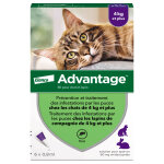 6 pipettes ad - vantage 80 pour chat et lapin de plus de 4 kg