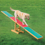 Balanoire agility trixie pour chien l300xl34xh54cm