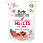 Brit care crunchy cracker, insectes, agneau et framboise - 3 x 200 g Brit care crunchy cracker, insectes, agneau et framboise - 3 x 200 g