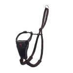 Harnais anti - traction halti pour chien - taille m : retriever, border collie par exemple