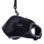 Harnais et laisse xcat trixie avec sticker noir - pour chat