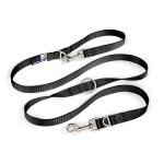 Laisse r�glable en nylon curli noire pour chien - taille l : l 200 x l 2 cm