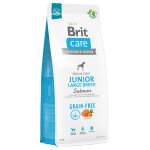 Brit care grain - free junior large breed saumon, pommes de terre pour chiot - 12 kg