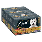 Lot mixte cesar les recettes de campagne pour chien - 48 x 150 g Lot mixte cesar les recettes de campagne pour chien - 48 x 150 g