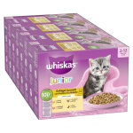 M�gapack whiskas junior 48 x 85 g pour chaton - s�lection de volaille en gel�e