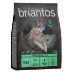 Testez - les ! croquettes briantos 1 kg pour chien - adult agneau, pommes de terre - sans céréales Testez - les ! croquettes briantos 1 kg pour chien - adult agneau, pommes de terre - sans céréales